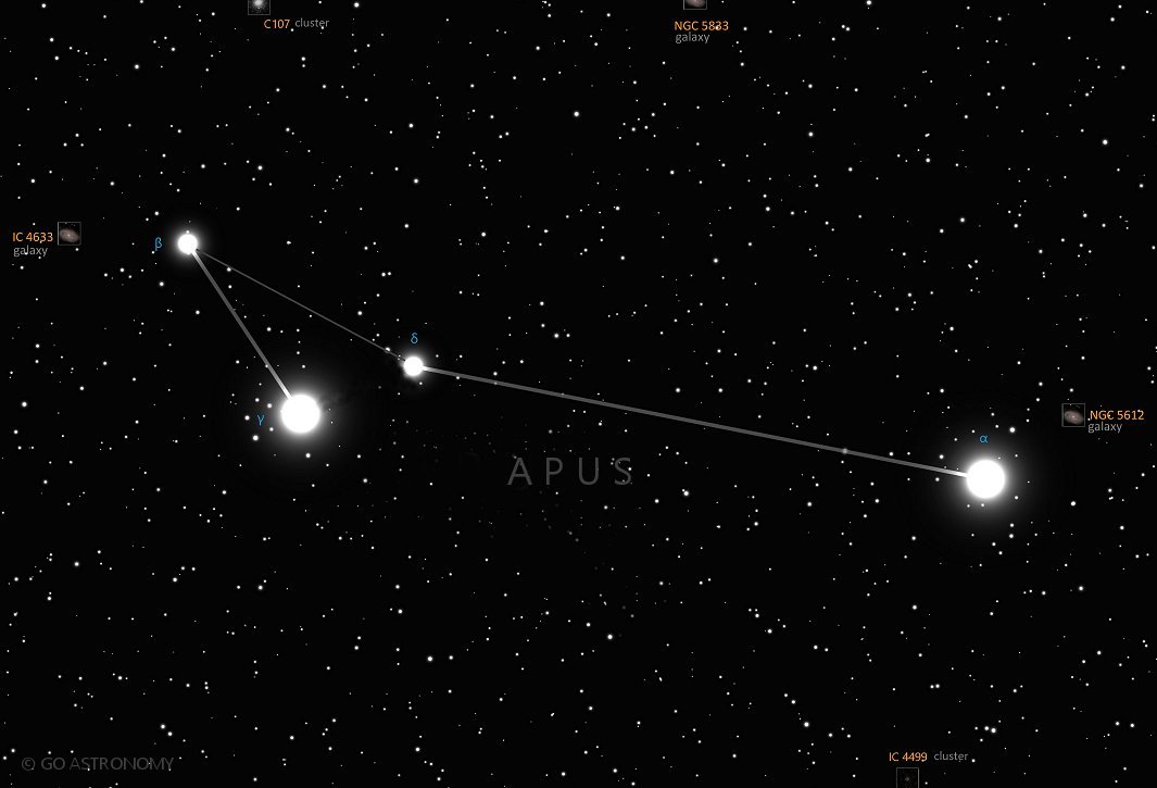 Constellation Apus the Bird-of-Paradise Star Map