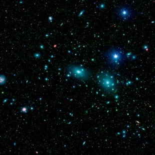 Coma Cluster