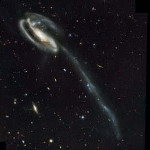 Tadpole Galaxy 