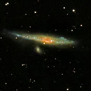 Whale galaxy