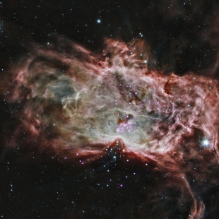 NGC 2024