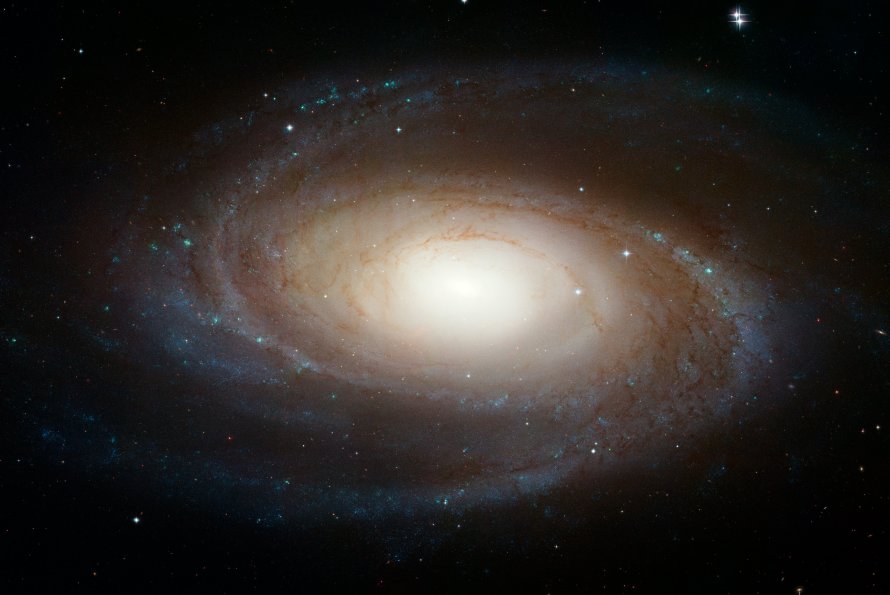 Messier 81 Bode's Galaxy