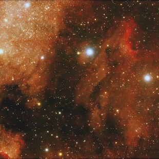 Pelican Nebula