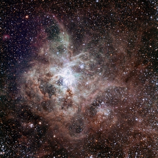 Tarantula Nebula