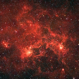 Dragonfish Nebula