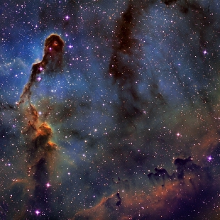 Elephant's Trunk Nebula